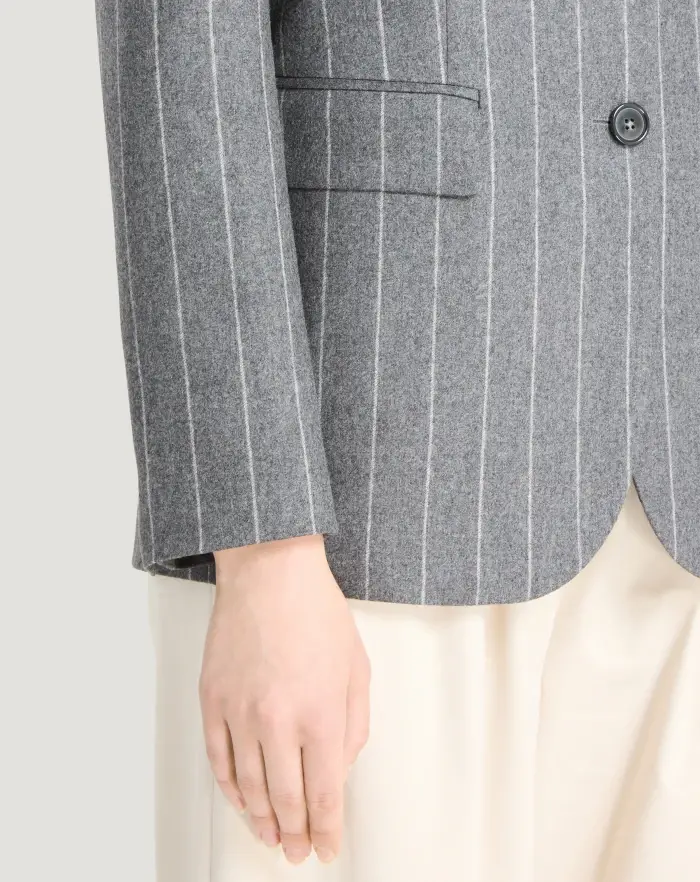 Pantaloni Torino Giacca in flanella a righe Presa