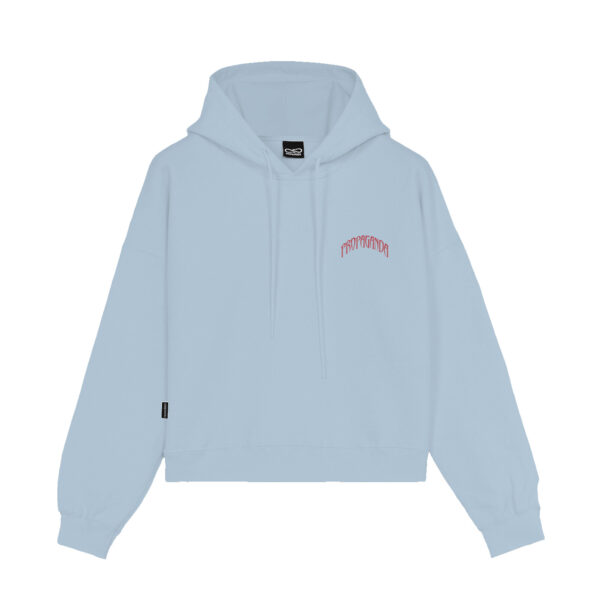 Propaganda Triangle Bengala Hoodie Crop Top – Sky Italy