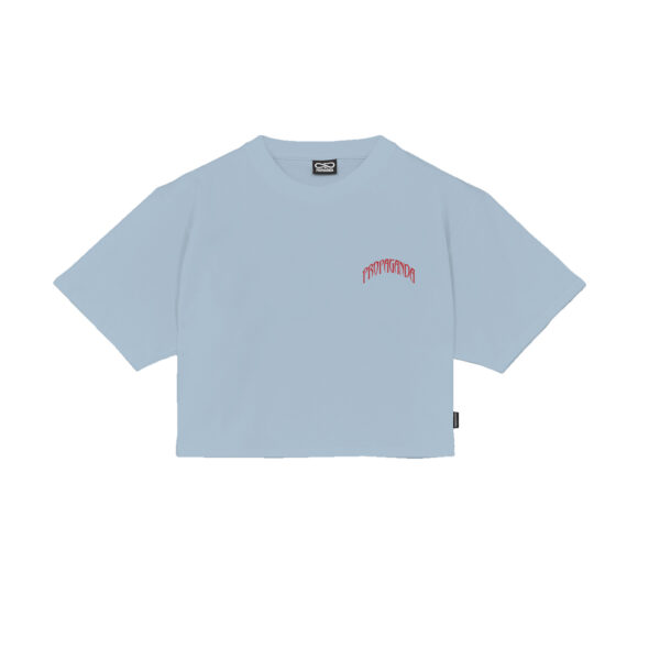 Propaganda Triangle Bengala Crop Top Tee – Sky Qualità