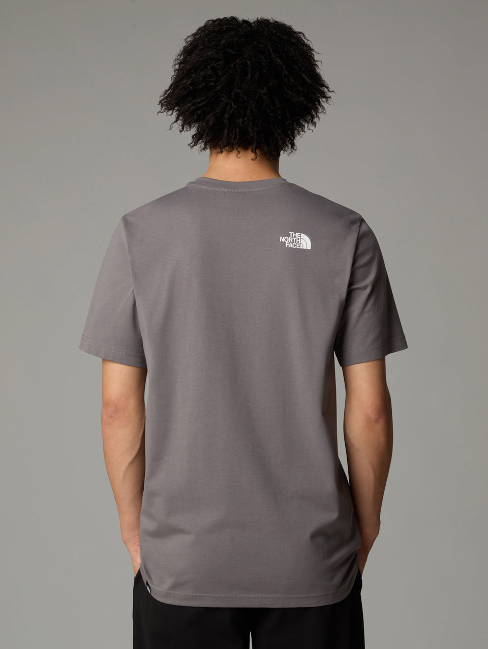 THE NORTH FACE T-shirt Regular Fit con Logo Grigio Italy